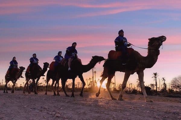 Agadir Camel ride tour