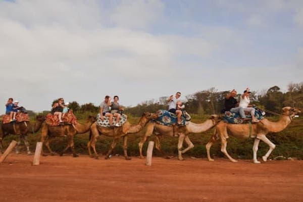 Barbecue camel ride tour in Agadir